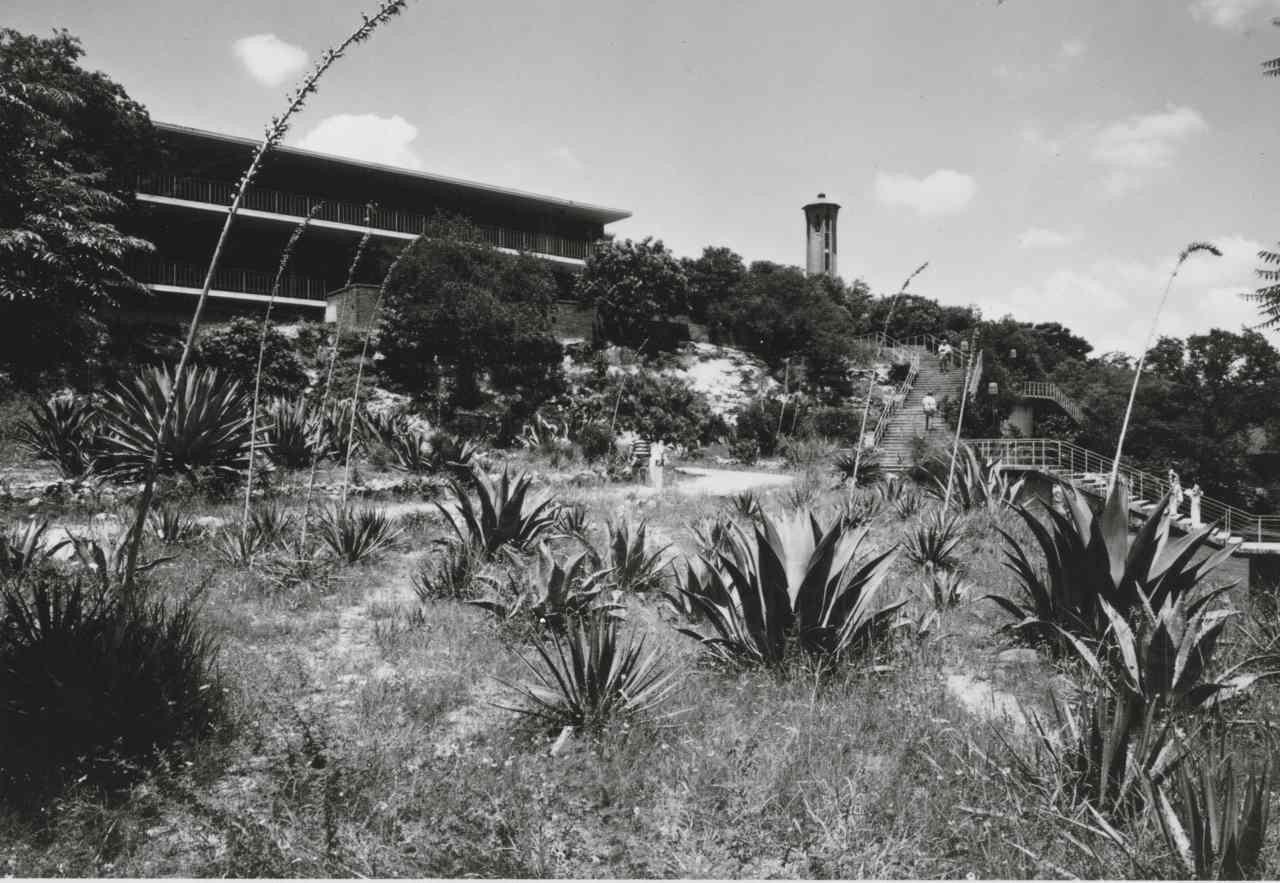 Black and White image of 赌博娱乐平台网址大全 buildings and Tower