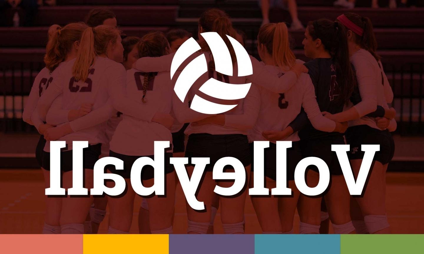 volleyball newsletter header